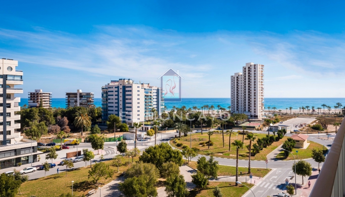 Nuevo - Apartments - San Juan Playa - San Juan de Alicante